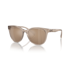 Óculos De Sol Armani Exchange Feminino Undefined Shiny Transparent Brown Brown